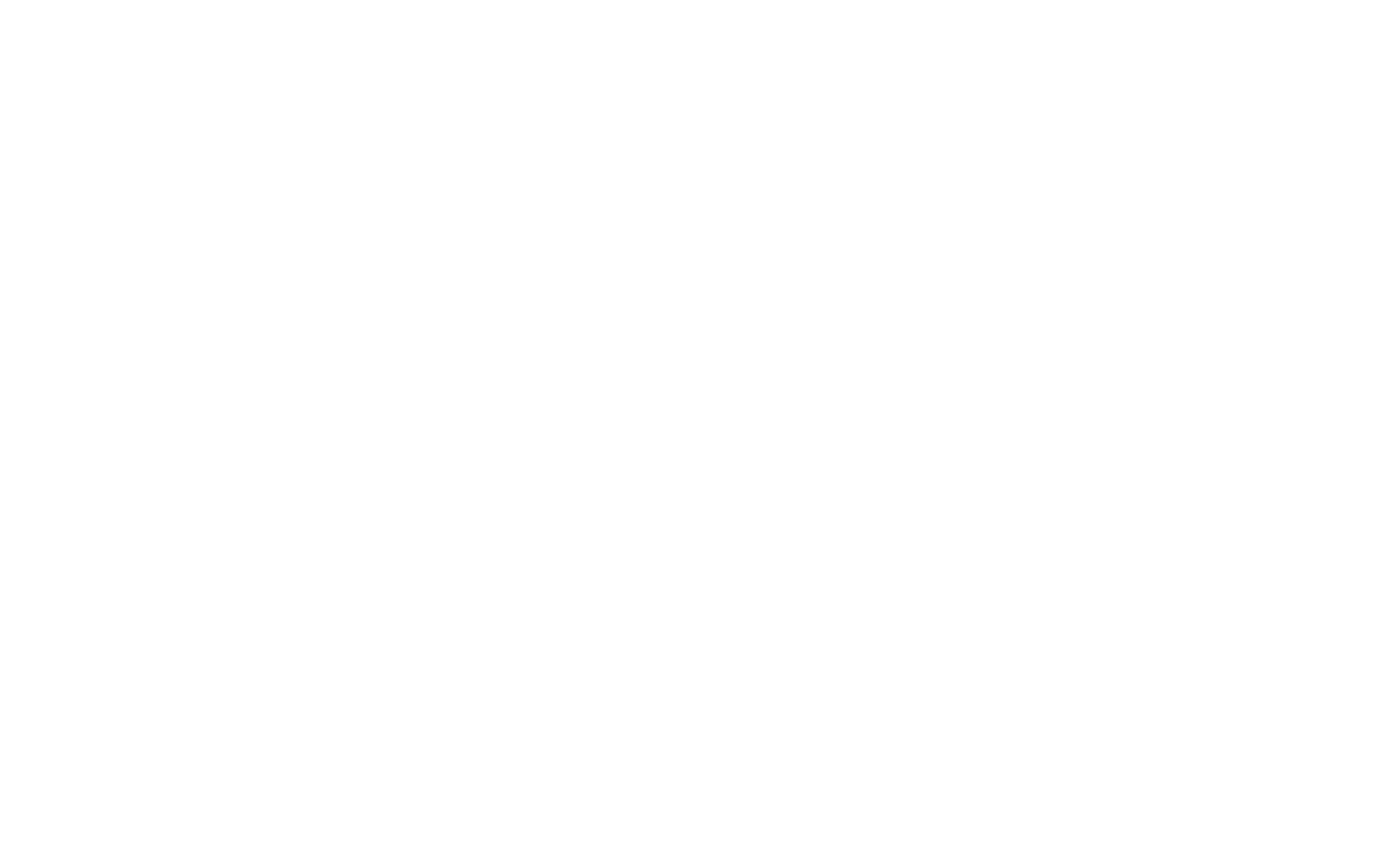 Damati Logo white